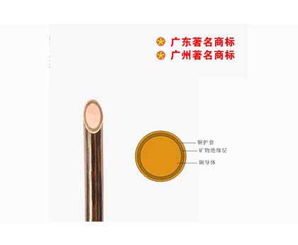 BTTZ-750V礦物質(zhì)電纜 BTTZ-750V礦物質(zhì)電纜